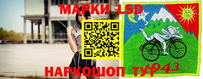 a pvp Заводоуковск