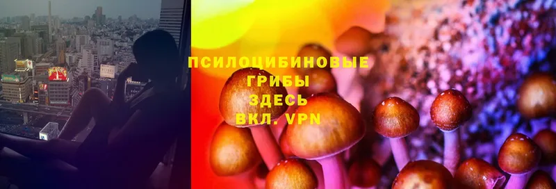 omg ONION  купить наркотики сайты  shop какой сайт  Галлюциногенные грибы Psilocybine cubensis  Кулебаки 