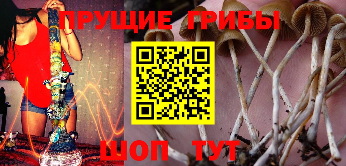 Галлюциногенные грибы MAGIC MUSHROOMS  Галлюциногенные грибы Psilocybine cubensis  Кулебаки 