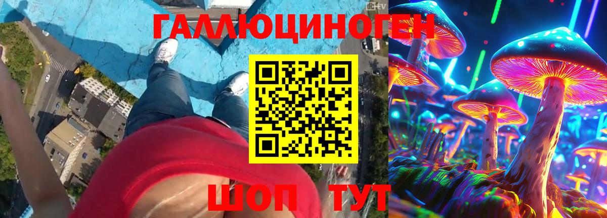 Галлюциногенные грибы Psilocybe Кулебаки
