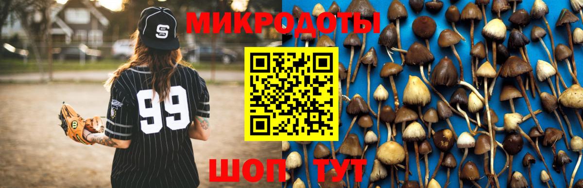 Галлюциногенные грибы Psilocybe  Вход с VPN  Кулебаки 